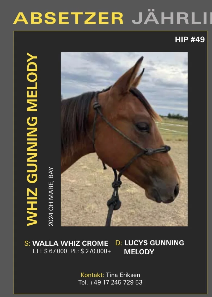 Whiz Gunning Melody