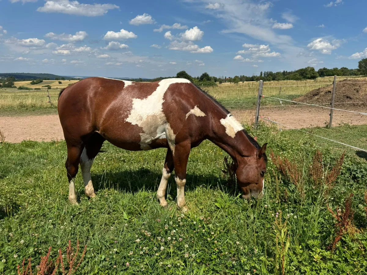 SW Monty Magic Moon