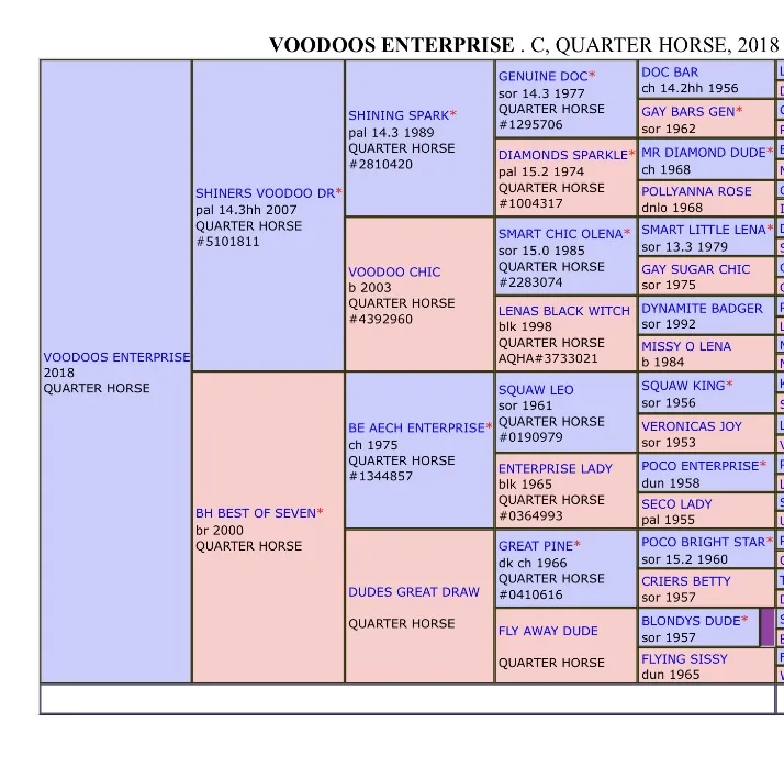 Voodoos Enterprise
