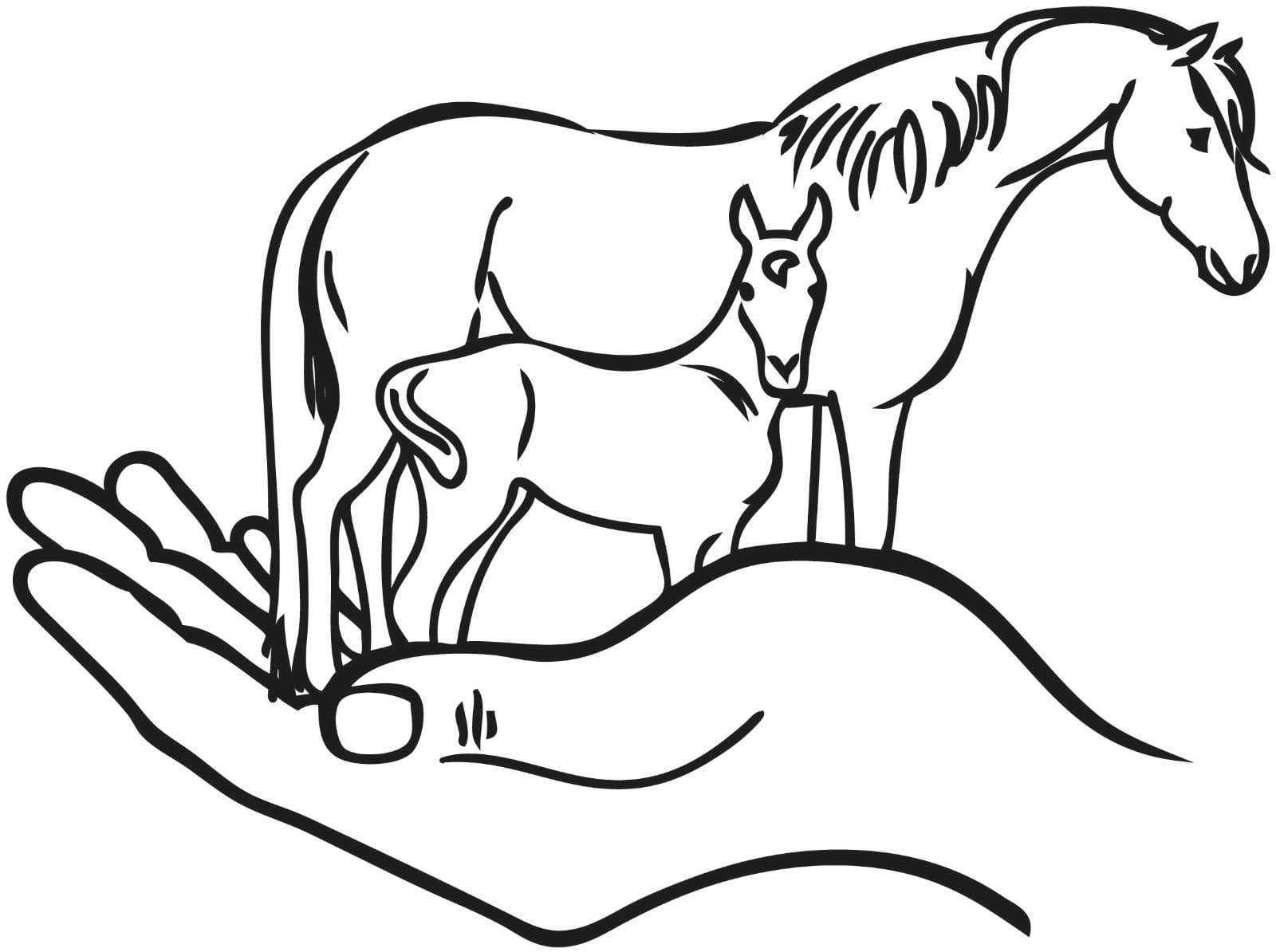 TJ Quarter Horses Logo