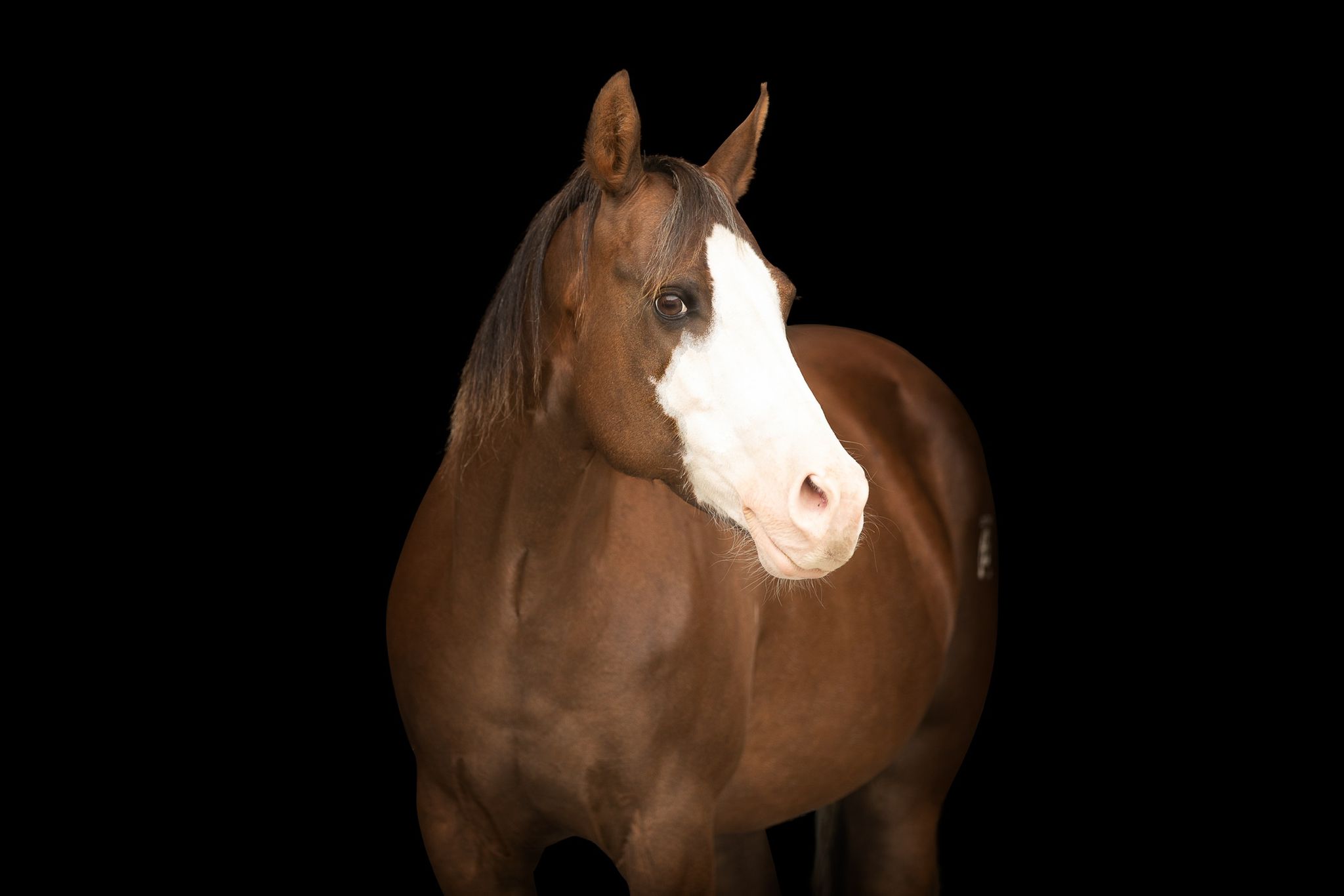 OK Farm Reiners Image 1
