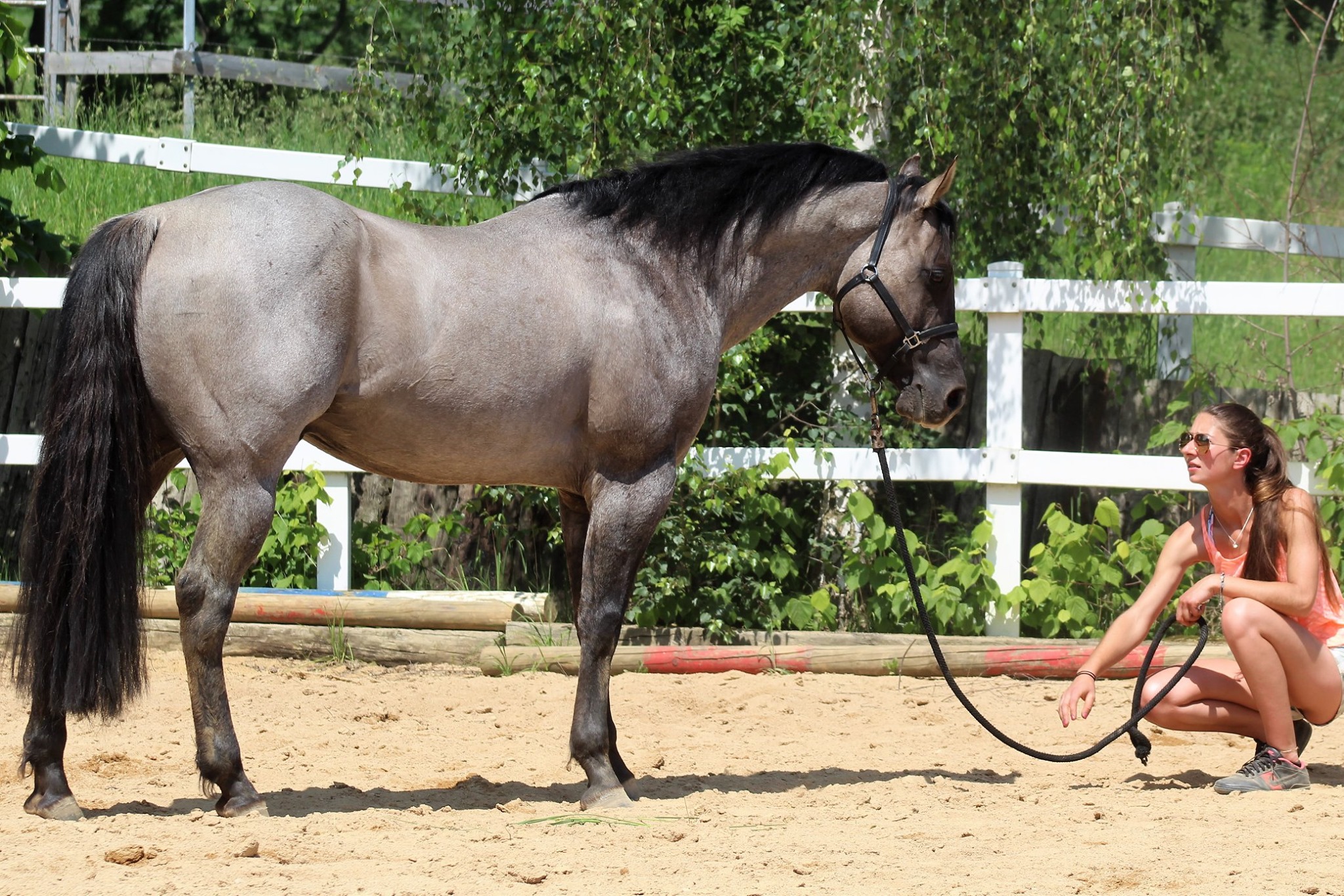Flamboyant Quixote