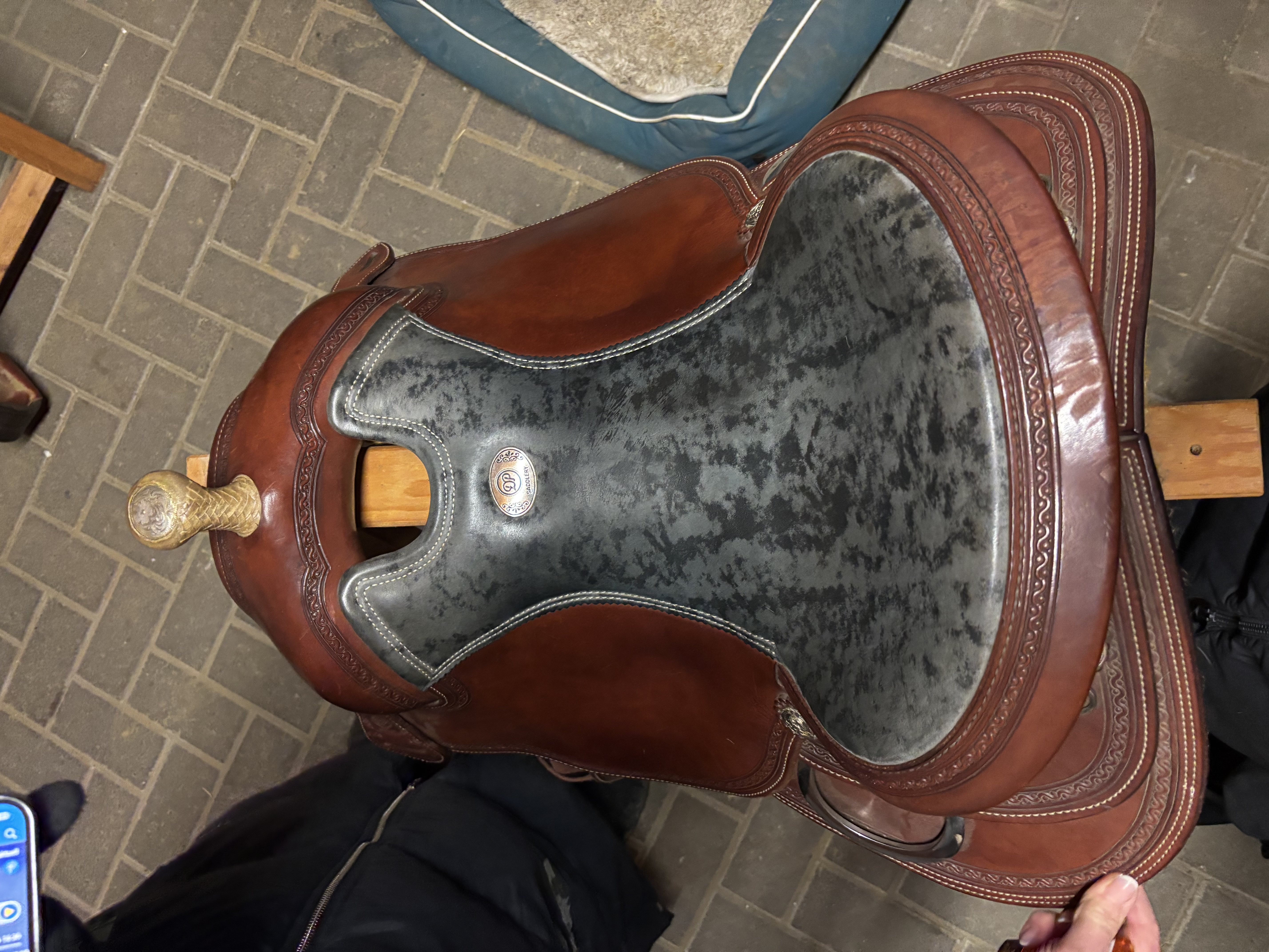 Western Saddle DP