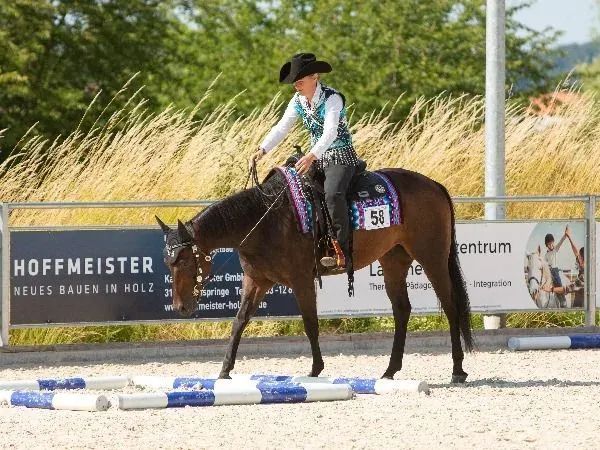 Be Only Diesel, Brown Quarter Horse Gelding - dreamquarters.de