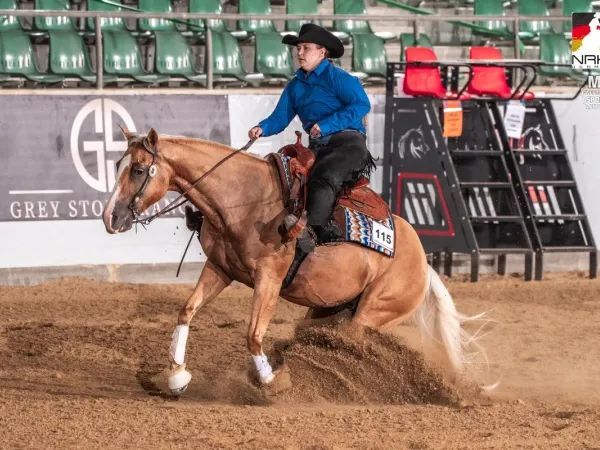 Niftys American Amy, Palomino Quarter Horse Mare - dreamquarters.de