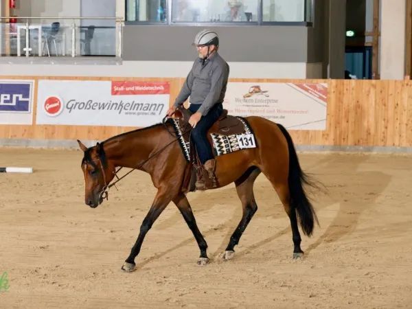 N Green Somnia, bay Quarter Horse Mare - dreamquarters.de