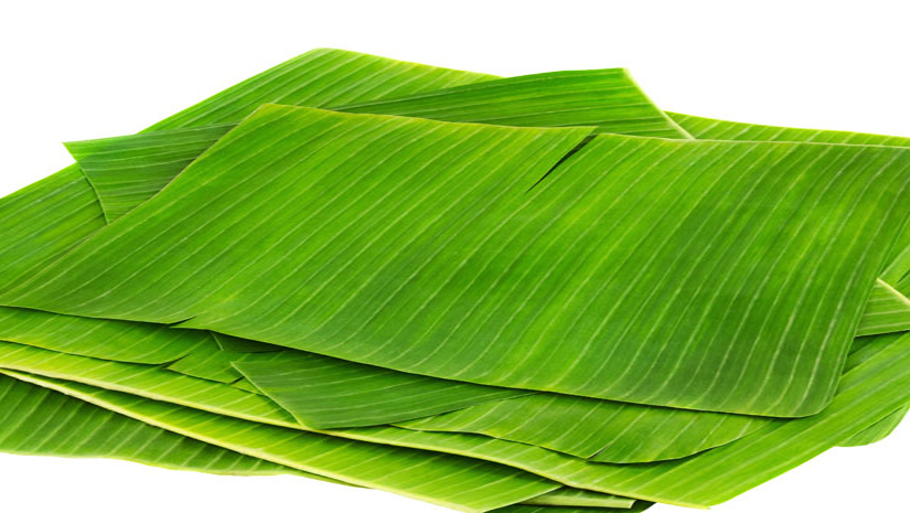 health benefist of banana leaves