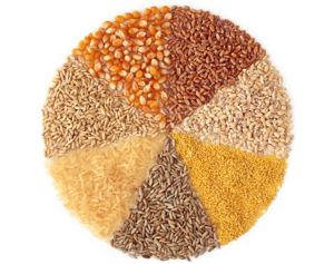 Image result for whole grains