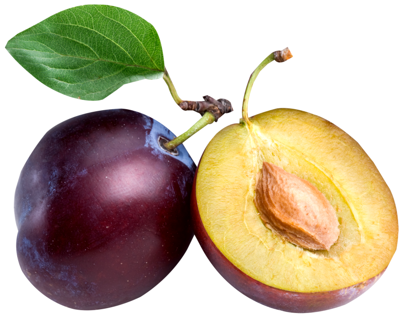 16 Proven Health Benefits of Plums during Pregnancy Dr Heben