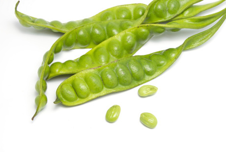 30 Scientific Health Benefits of Petai  Beans Surprising 