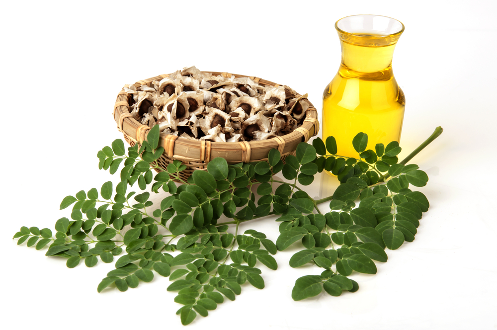 seed from how extract moringa oil (No.1 Benefits Oil Moringa of Health is Seed 24 Super