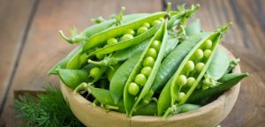 10 Importance Of Pea Protein In Other To Loss Weight 