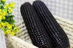 See 15 Top Health Profits of Black Aztec Corn