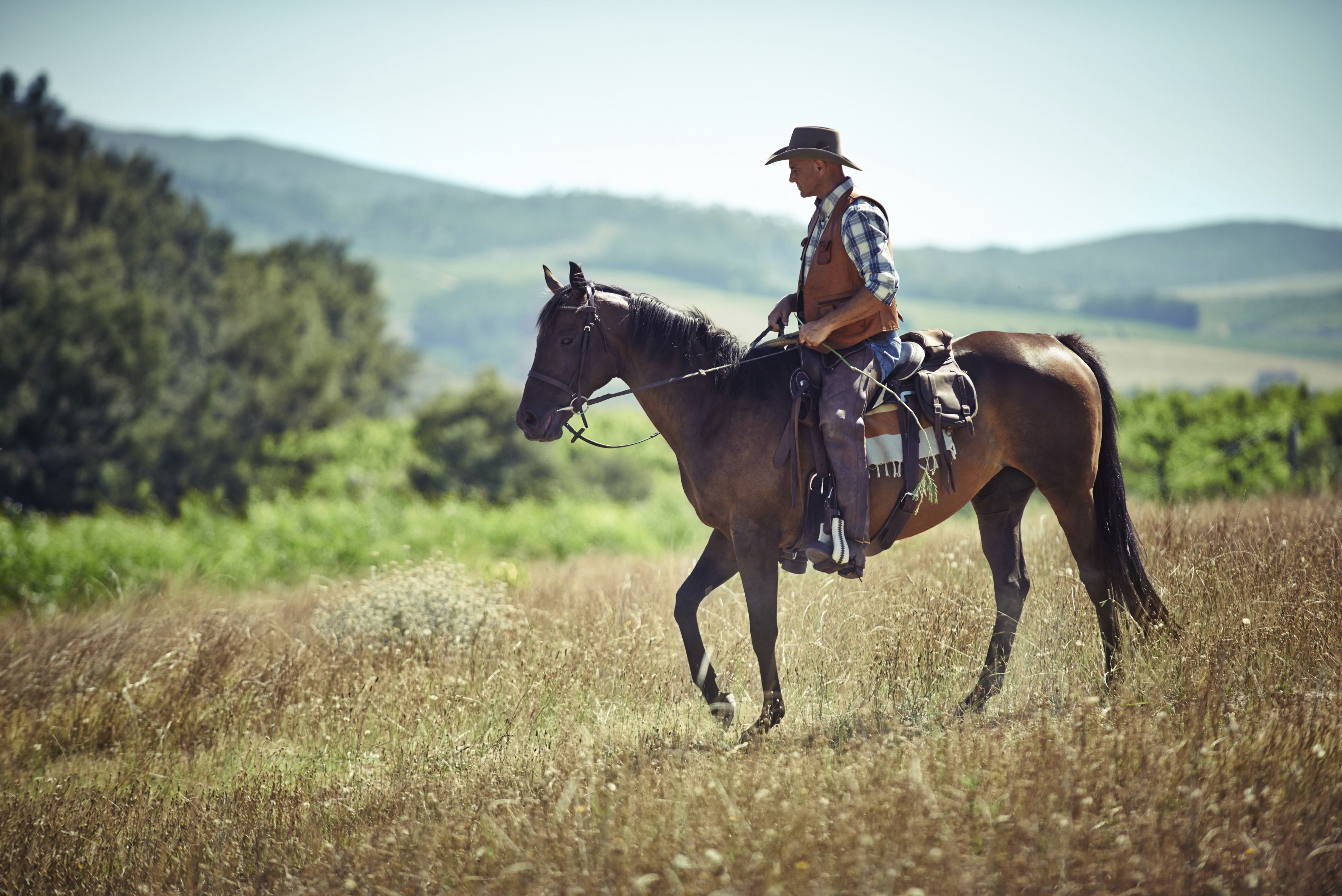 temi riding horse