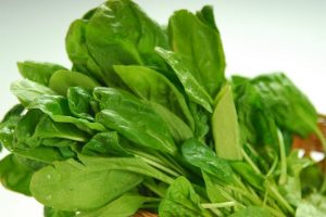 Check Out These Four (4) Purposes Behind The Importance Of Spinach In Other To Loss Weight