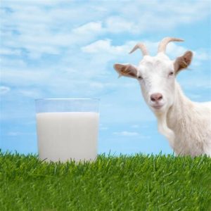 Check Out These 11 Astonishing Benefits of Goat Milk for Eyes and Healthy Look