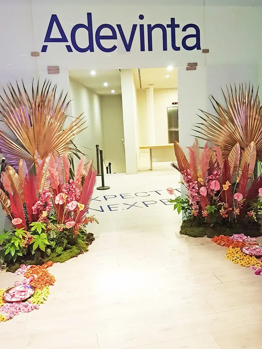 Esdeveniments corporatius, aparadorisme, inauguracions – Foto 3 de 6