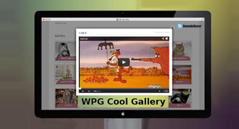 wordpress self hosted video gallery plugin