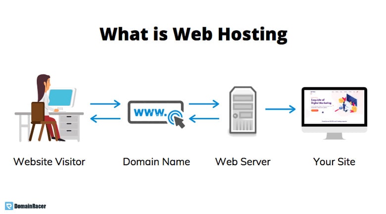 what is web hosting