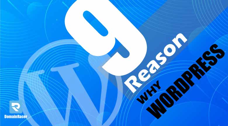 Benefits of Wordpress to Host Website Template (Theme)