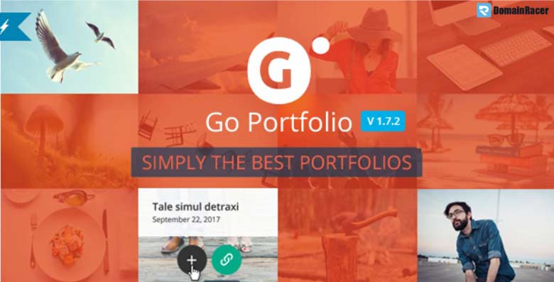 video go portfolio wordpress plugin