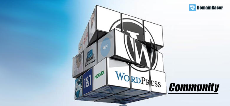 wordpress business plan review