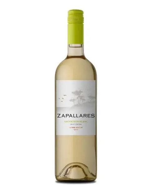 zapallares sauvignon blanc