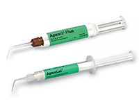 Scellant MTA Endoseal Maruchi BioCeramic Injectable Prémélangé - 2 Types (2g/3g)