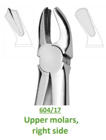 Otto Leibinger Upper molars right side | DentaCarts | Dental Cart