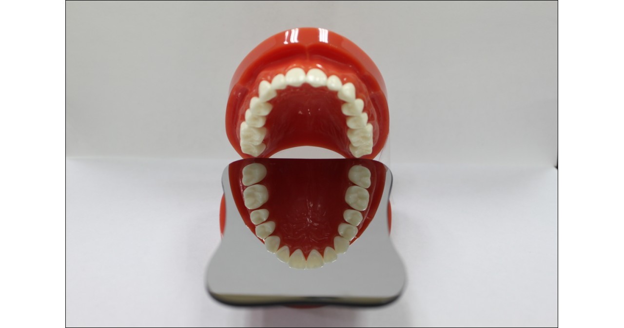 POP Emerald mirror size 1 - dental mirror for photography | DentaCarts | Dental Cart