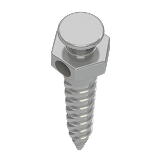 Matt Mini Implant Screw | DentaCarts | Dental Cart