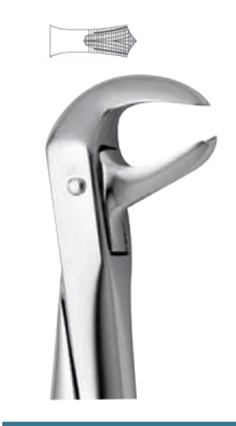 Forceps Lower molars | DentaCarts | Dental Cart