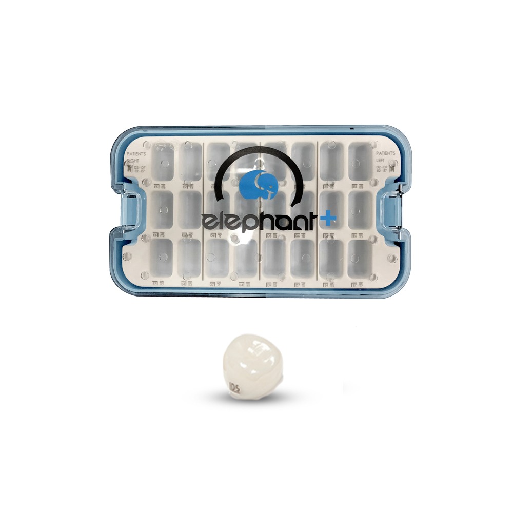 Elephant Plus Pediatric Zirconia Posterior Crowns | DentaCarts | Dental Cart
