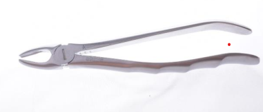 NMG Forceps | DentaCarts | Dental Cart