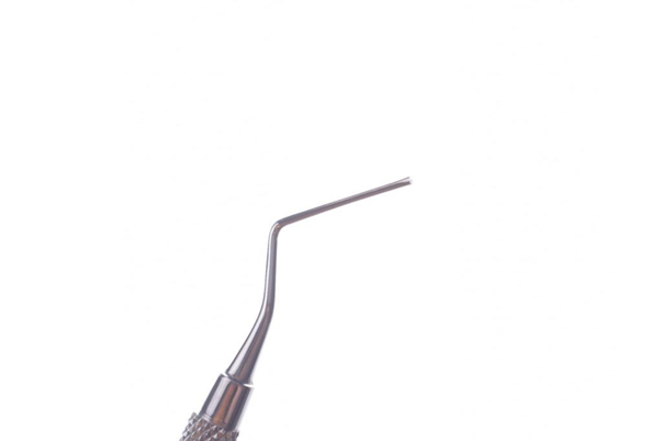 NM&G Endodontic Plugger | DentaCarts | Dental Cart