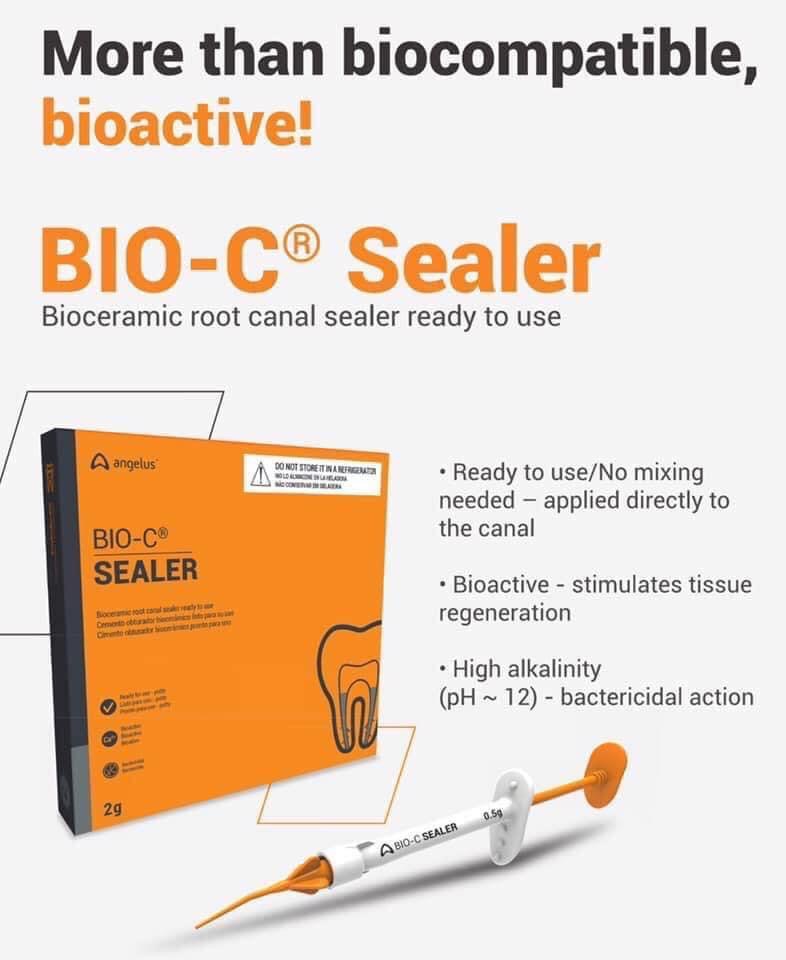 Angelus Bio-C Sealer | DentaCarts | Dental Cart