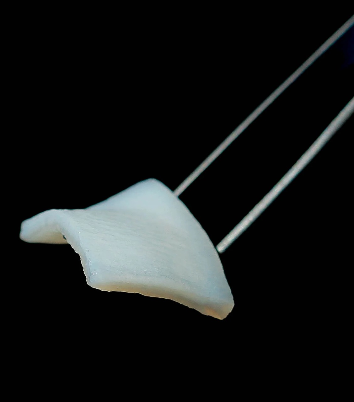 FibroMATRIX 3D collagen matrix | DentaCarts | Dental Cart