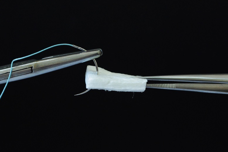 FibroMATRIX 3D collagen matrix | DentaCarts | Dental Cart