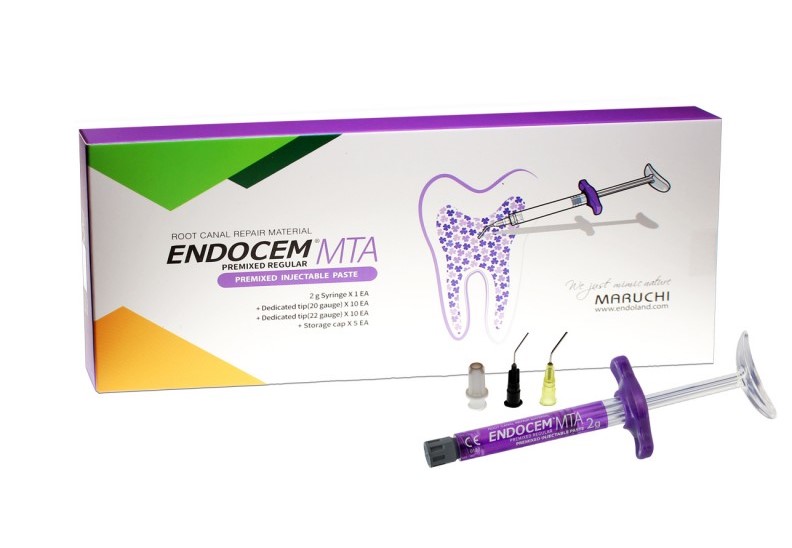 Maruchi EndoCem MTA Bioceramic Putty (2g) | DentaCarts | Dental Cart