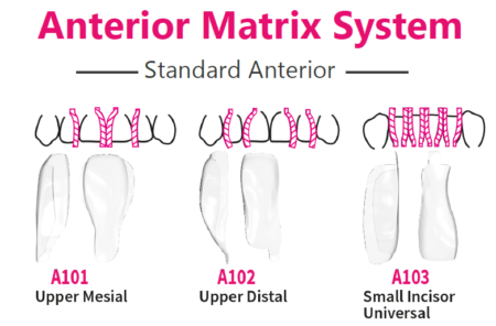 Bioclear Anterior Matrix Systems | DentaCarts | Dental Cart
