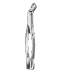Upper Third Molar Forceps (Jockey) | DentaCarts | Dental Cart