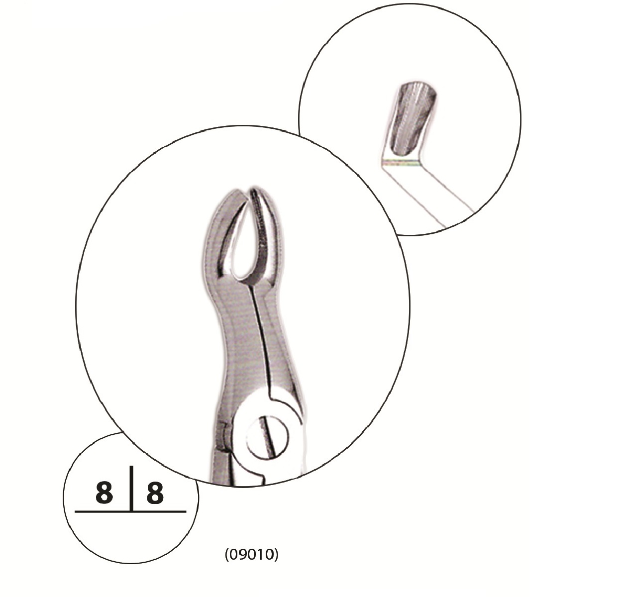 Upper Third Molar Forceps (Jockey) | DentaCarts | Dental Cart