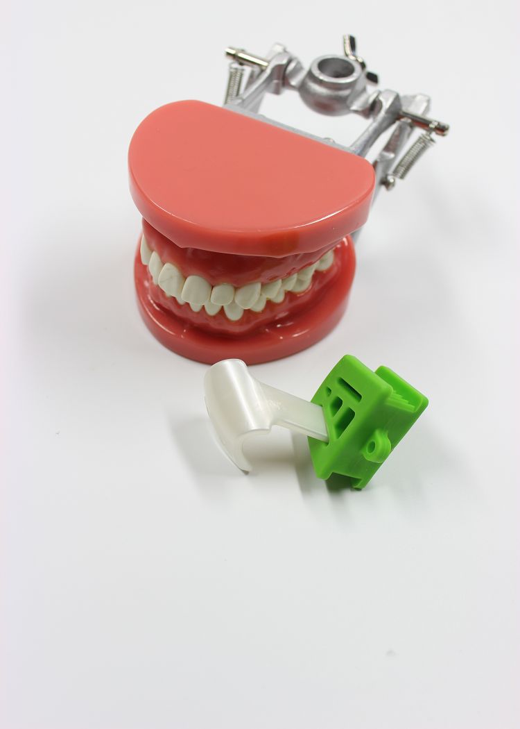 Cotisen Mouth Prop with Tongue Guard | DentaCarts | Dental Cart