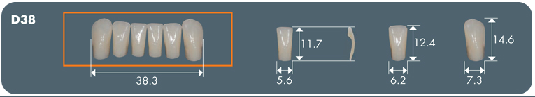 Bredent Visio Lign Veneers | DentaCarts | Dental Cart