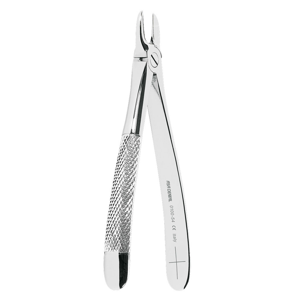 ASA EXTRACTING FORCEPS N.54 SEPARATING UPPER MOLARS | DentaCarts | Dental Cart