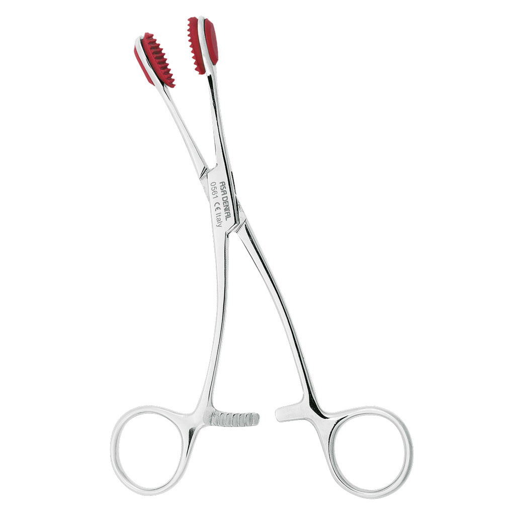 ASA Tongue Forceps Young 17 cm | DentaCarts | Dental Cart