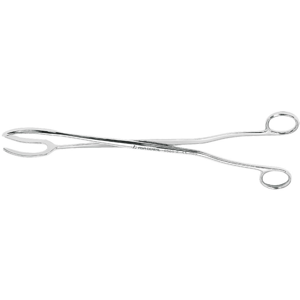 ASA Sterilizing Forceps 30 cm | DentaCarts | Dental Cart