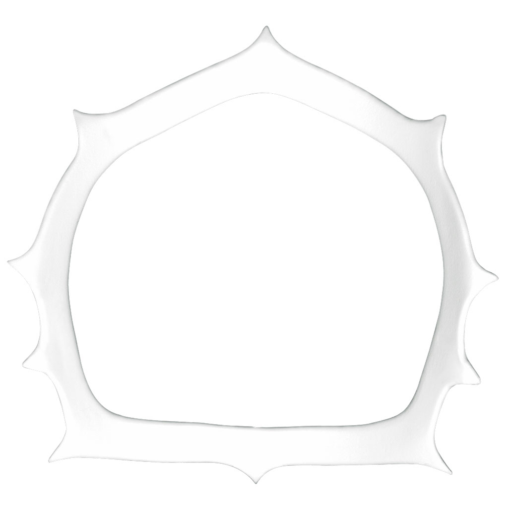 ASA Plastic Rubber Dam Frame | DentaCarts | Dental Cart