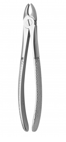 Medesy TOOTH FORCEPS (English Pattern) | DentaCarts | Dental Cart