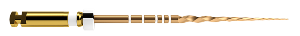 Dentsply ProTaper Gold (6 Files) | DentaCarts | Dental Cart